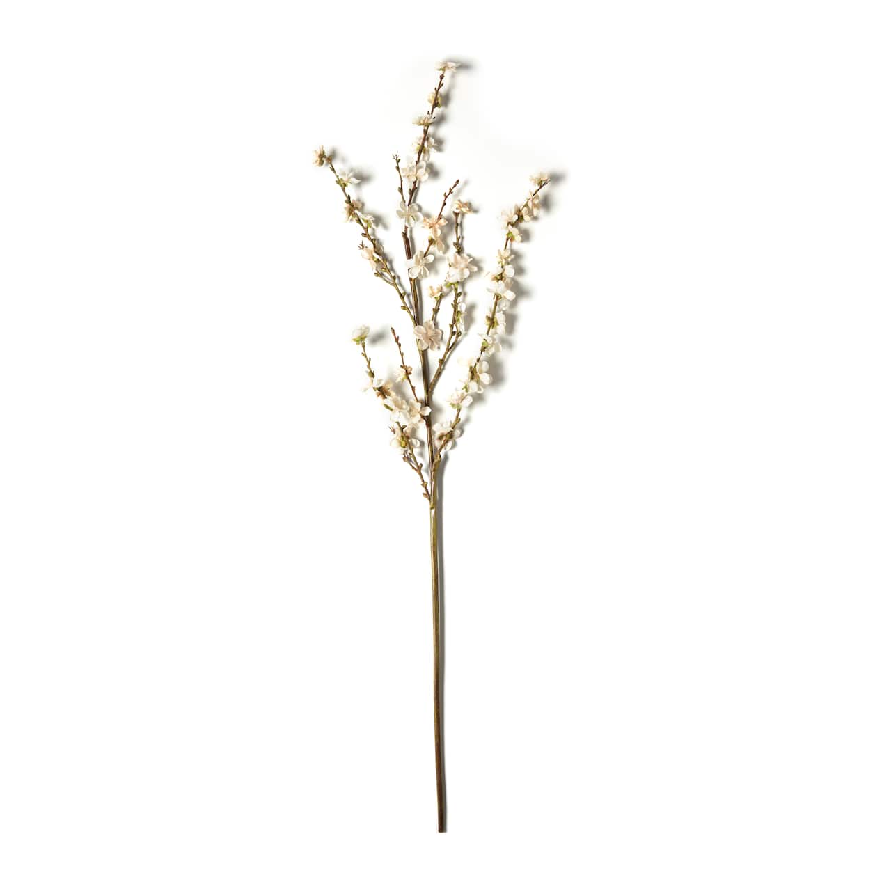 Peach Blossom Stem by Ashland®